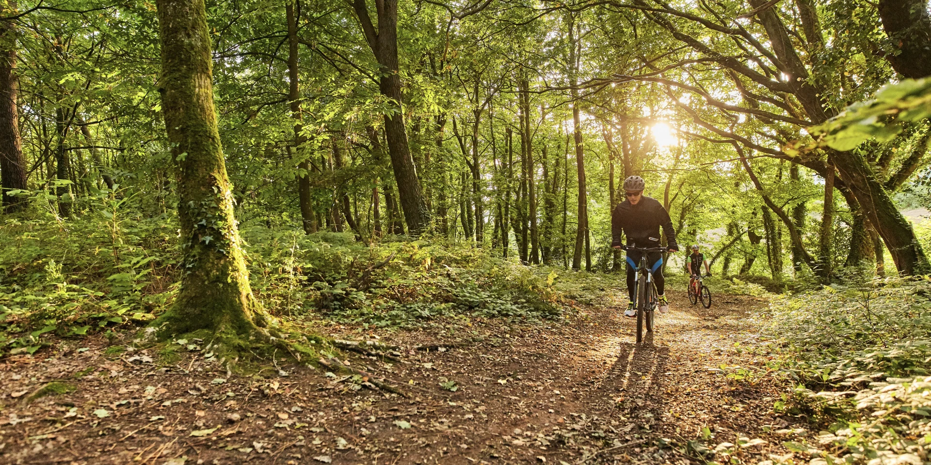 VTT Forêt de Lanvaux