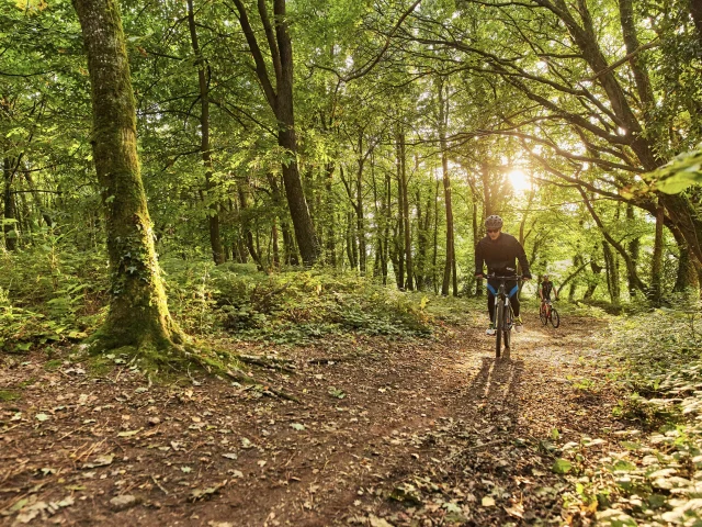 VTT Forêt de Lanvaux