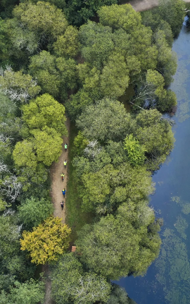 Vélos sur le sentier de randonnée de l'étang de la forêt à Brandivy, Landes de Lanvaux