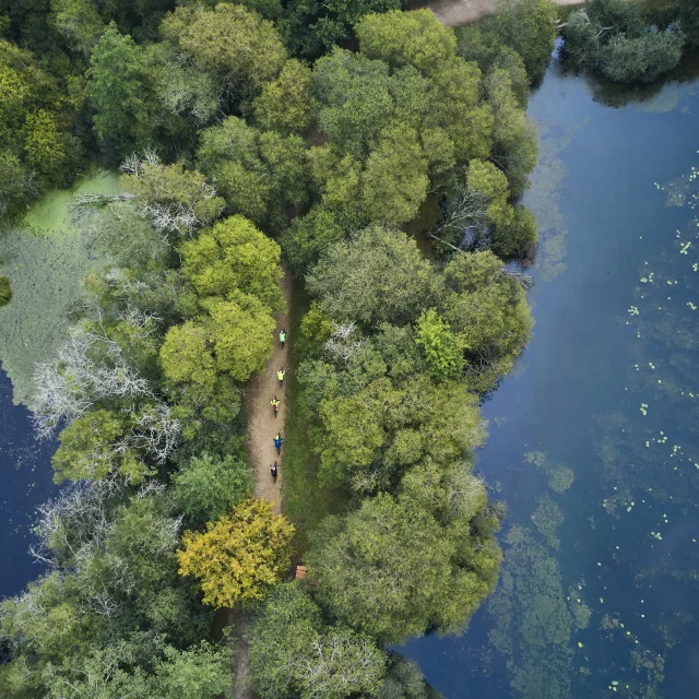 Vélos sur le sentier de randonnée de l'étang de la forêt à Brandivy, Landes de Lanvaux
