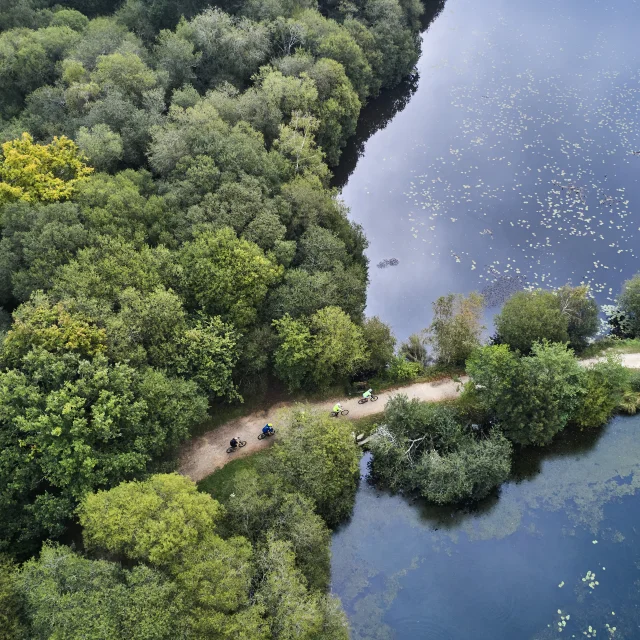 Vélos sur le sentier de randonnée de l'étang de la forêt à Brandivy, Landes de Lanvaux