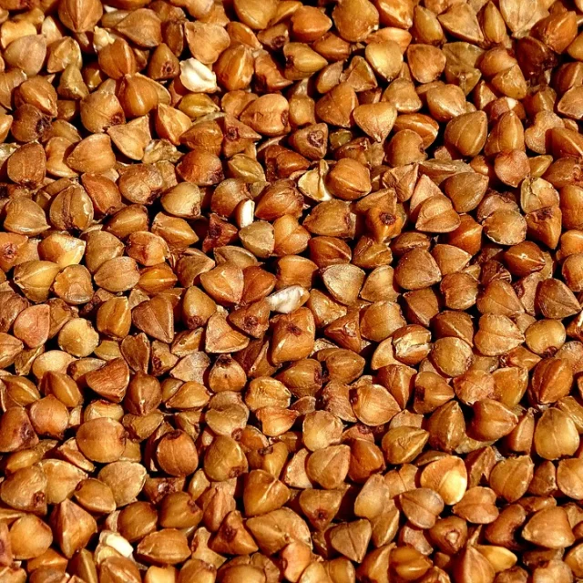 Sarrasin