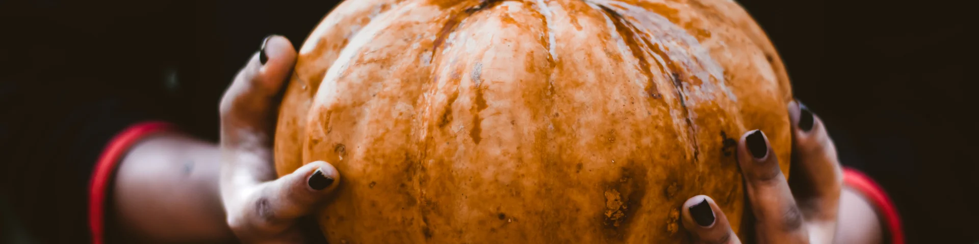 A Pumpkin Sits Between Two Hands