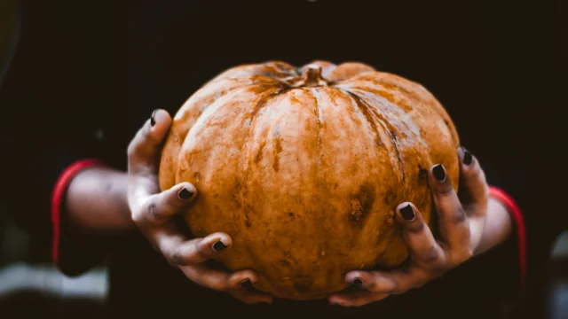 A Pumpkin Sits Between Two Hands