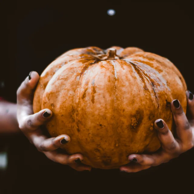 A Pumpkin Sits Between Two Hands
