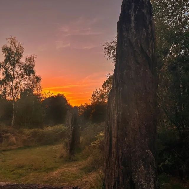 Instagram #miamorbihan