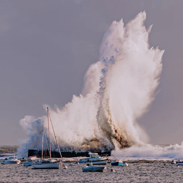 Instagram #miamorbihan