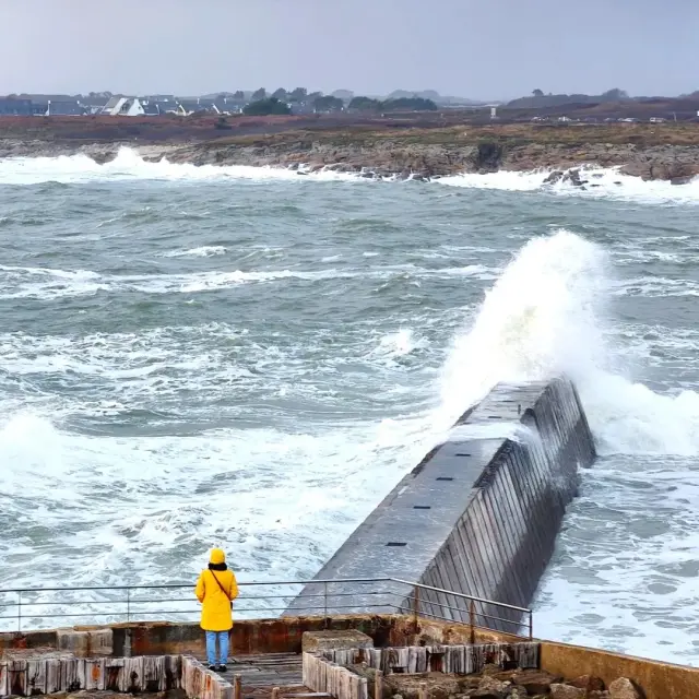 Instagram #miamorbihan