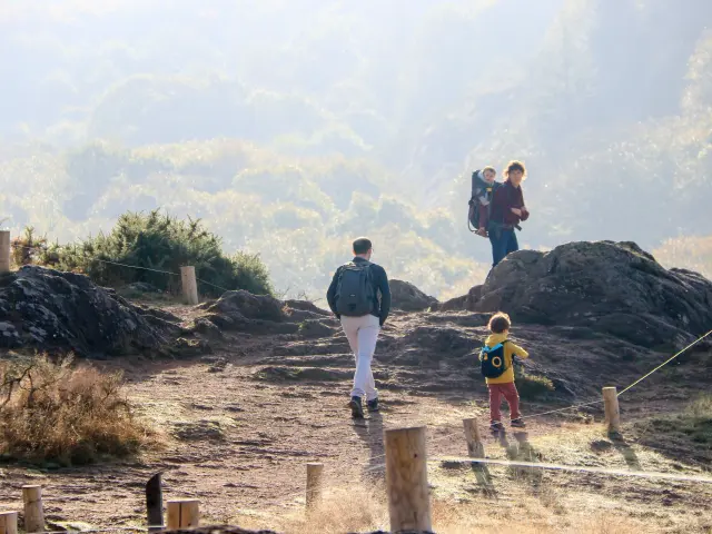 balade en famille en forêt de Brocéliande