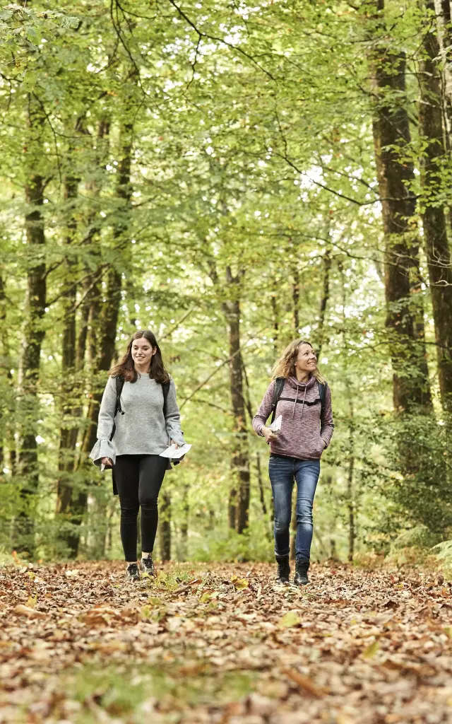 Deux randonneuses marchant côte à côte sur un large sentier forestier ombragé dans la forêt de Lanvaux