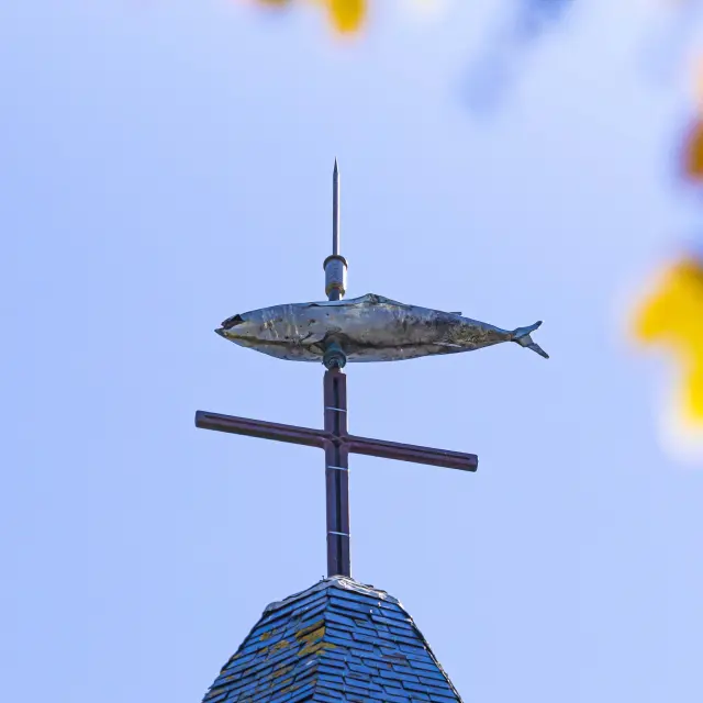 France, Morbihan (56), île de Groix, Le Bourg, le thon, symbole de l'histoire groisillonne, au sommet du clocher de l'église Saint-Tudy, des XVIIe-XIXe siècle