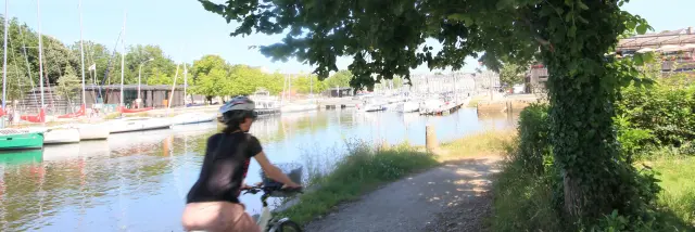 Une cycliste circule sur le chemin de halage ombragé le long de la rive gauche du port de Vannes