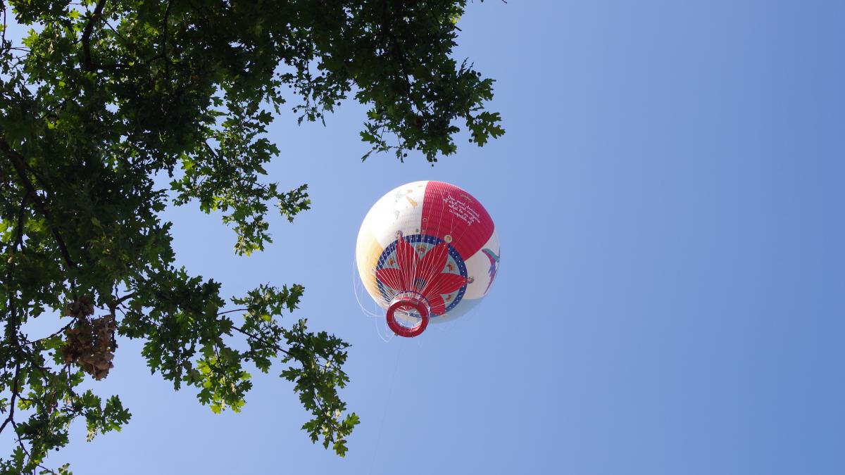 Cheeseburger visual data 8