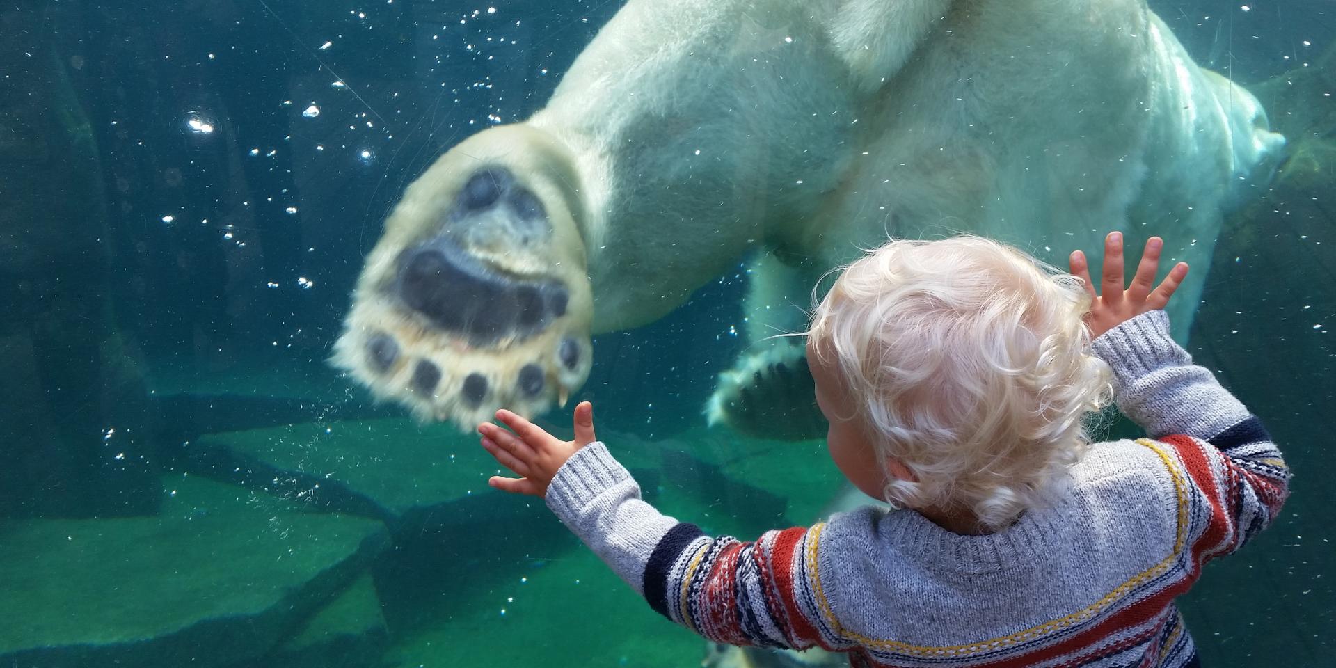 Parc zoologique et botanique | Mulhouse Alsace