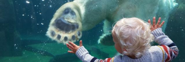Parc zoologique et botanique | Mulhouse Alsace
