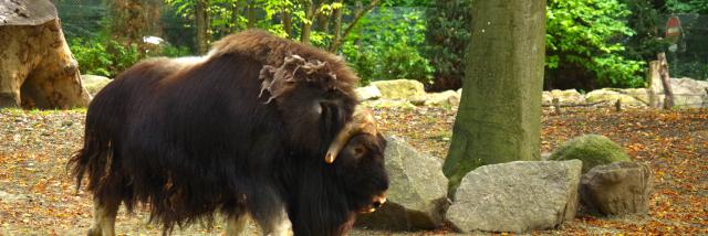 Parc zoologique et botanique | Mulhouse Alsace