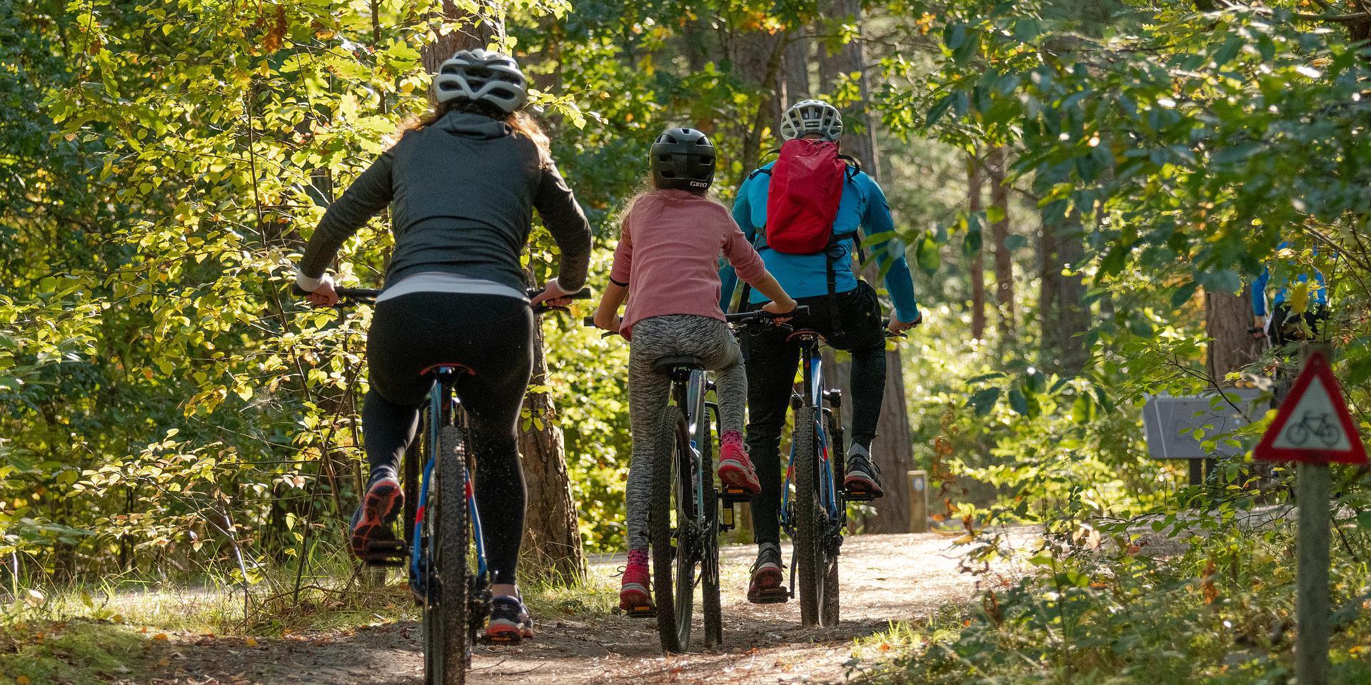 Cycling family