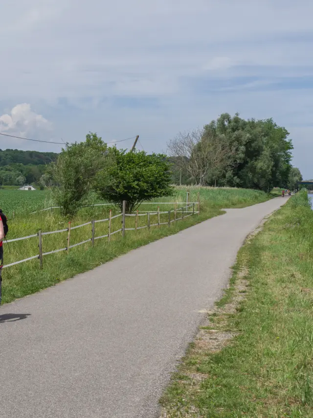 Vélo le long du Canal du Rhône au Rhin