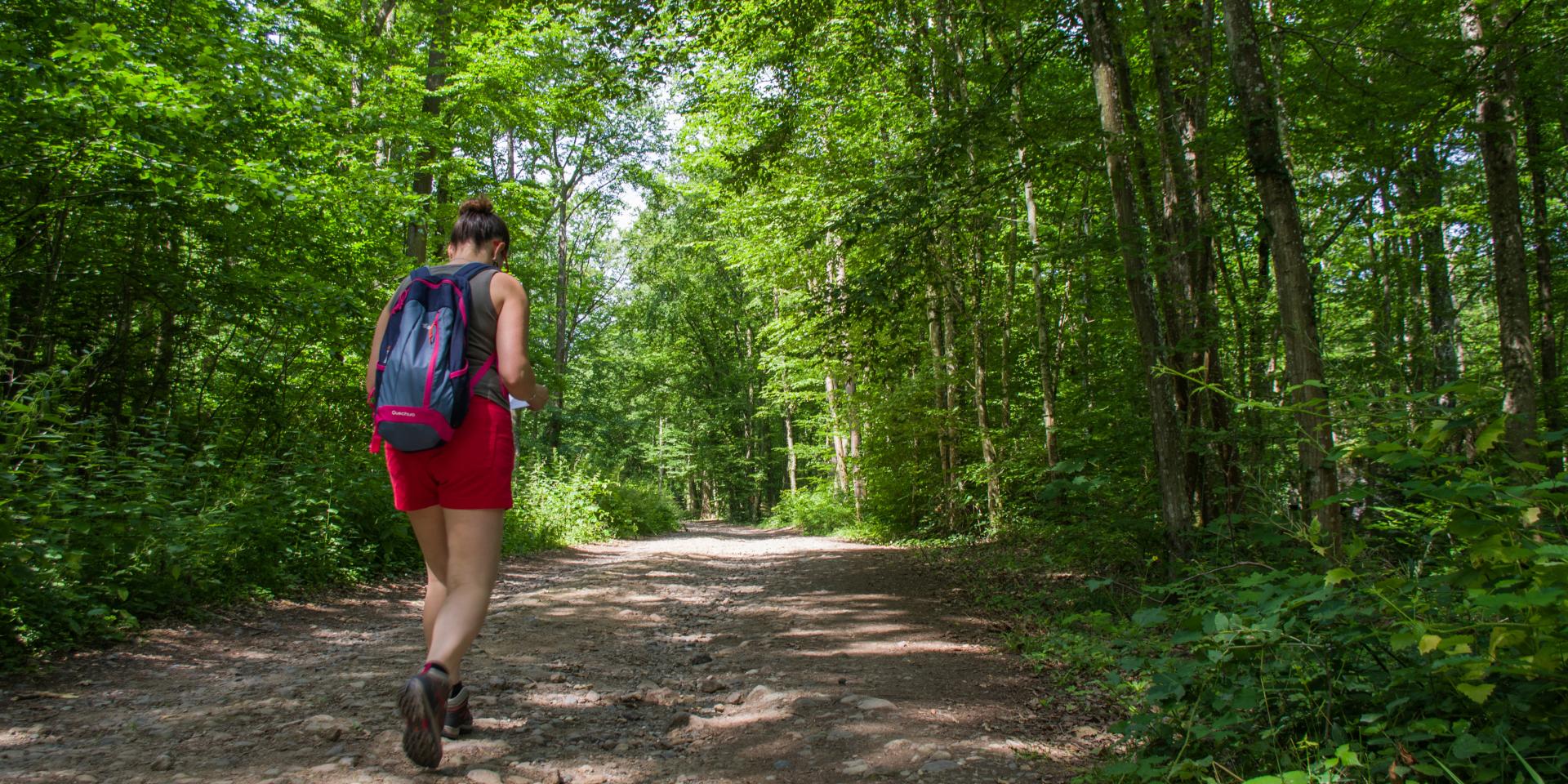 Wandern in der Agglomeration | Mulhouse Alsace