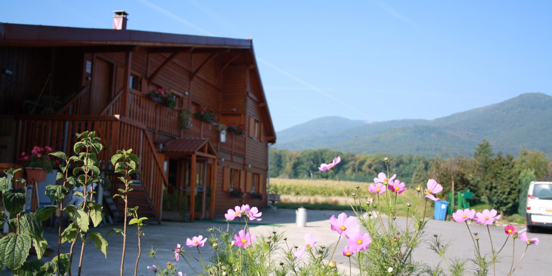 Auberge La Ferme des Dahlias - Berrwiller