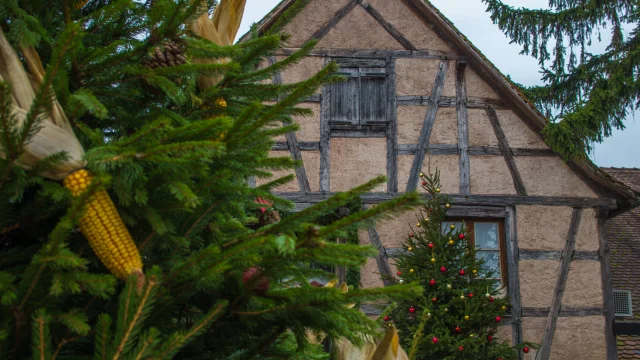 Noël à l'Ecomusée d'Alsace