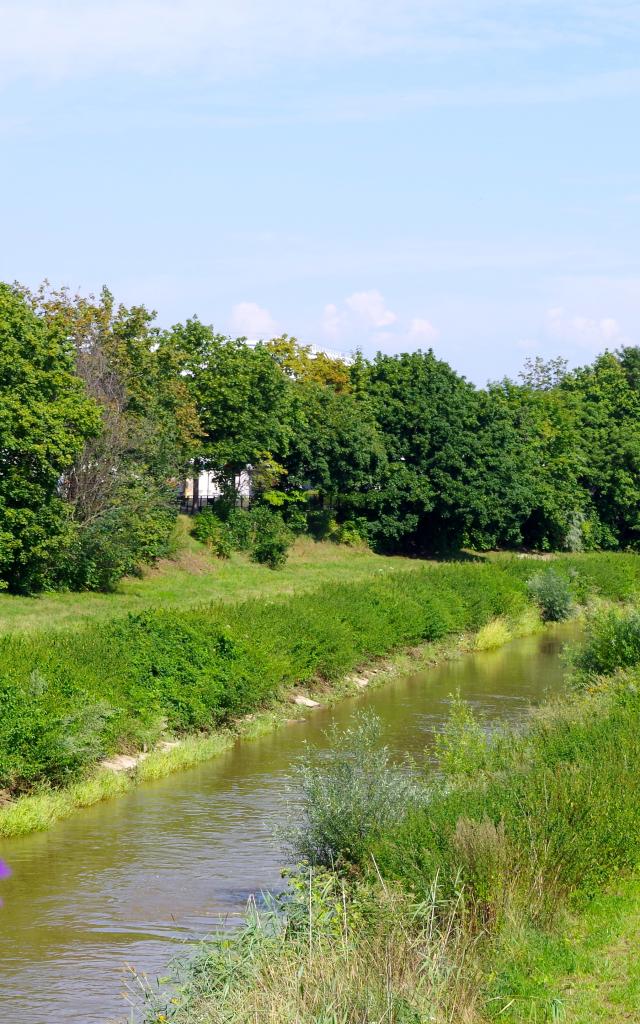 Cité ouvrière - Mulhouse Alsace
