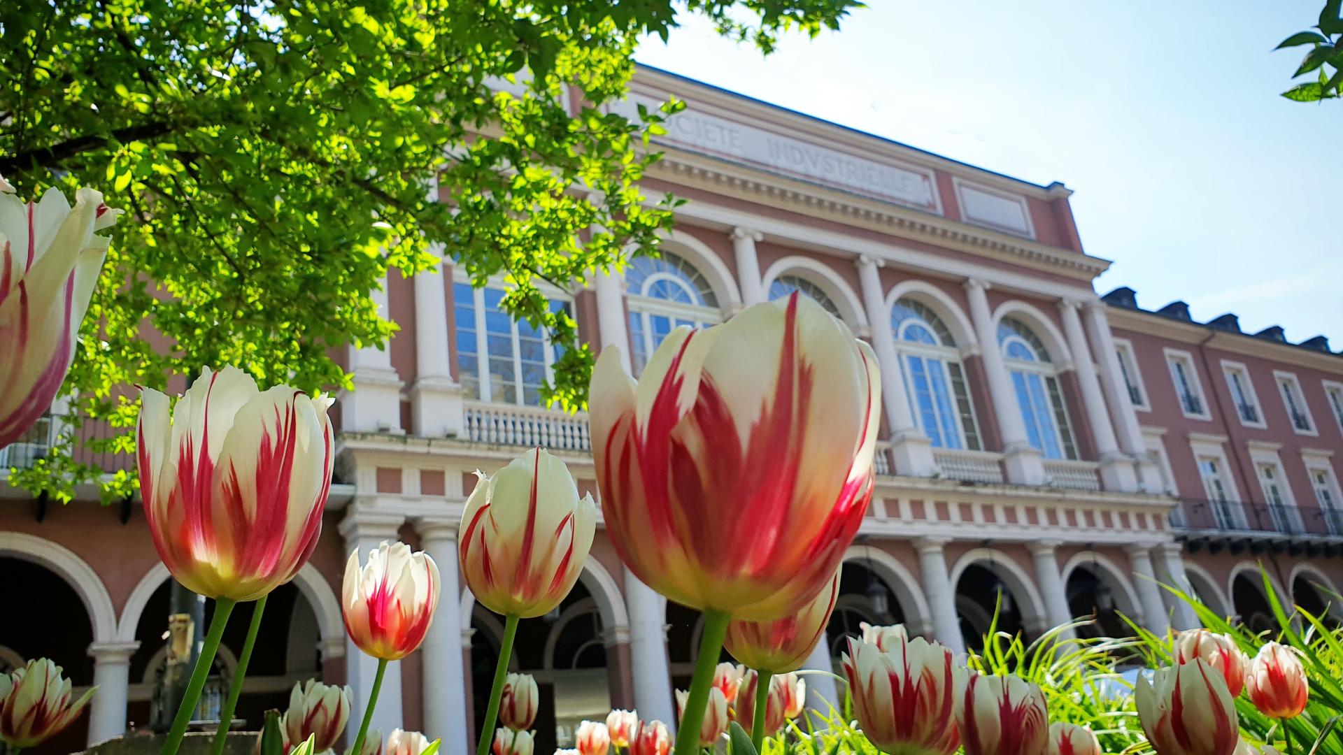 Cheeseburger visual data 4