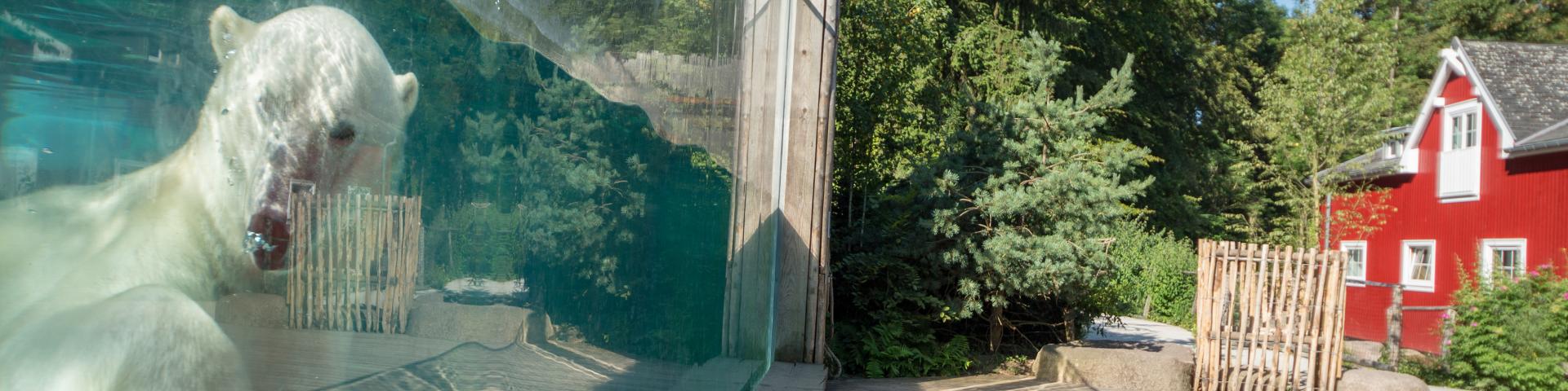 Zoological and botanical park | Mulhouse Alsace