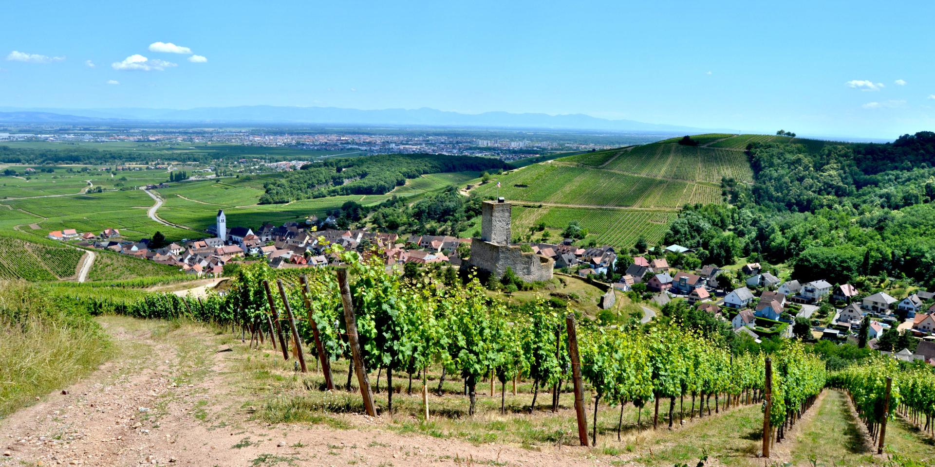 Weinstraße - Katzenthal