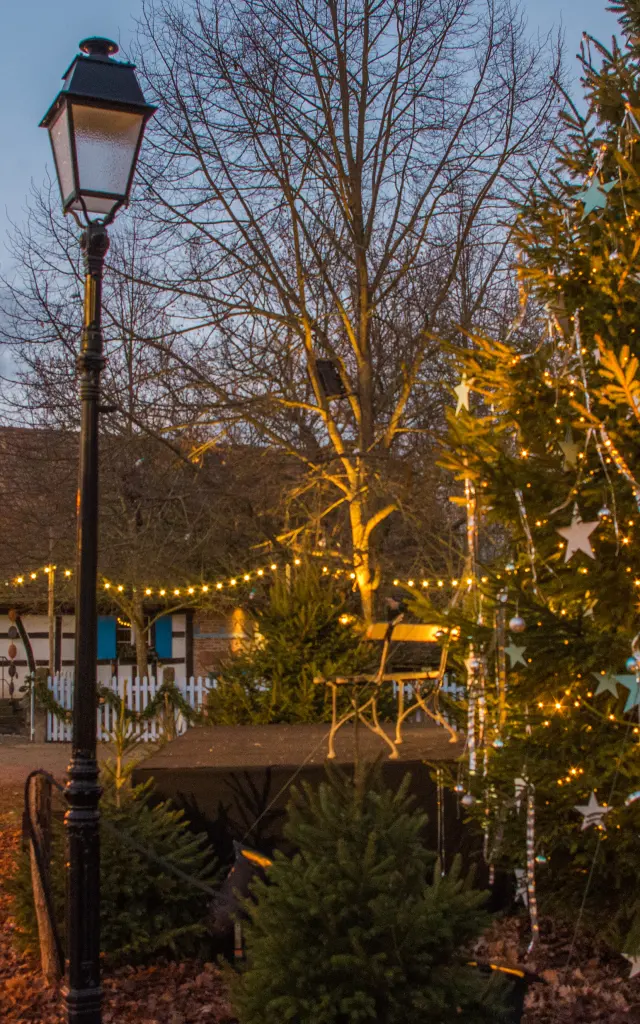 Noël à l'Ecomusée d'Alsace