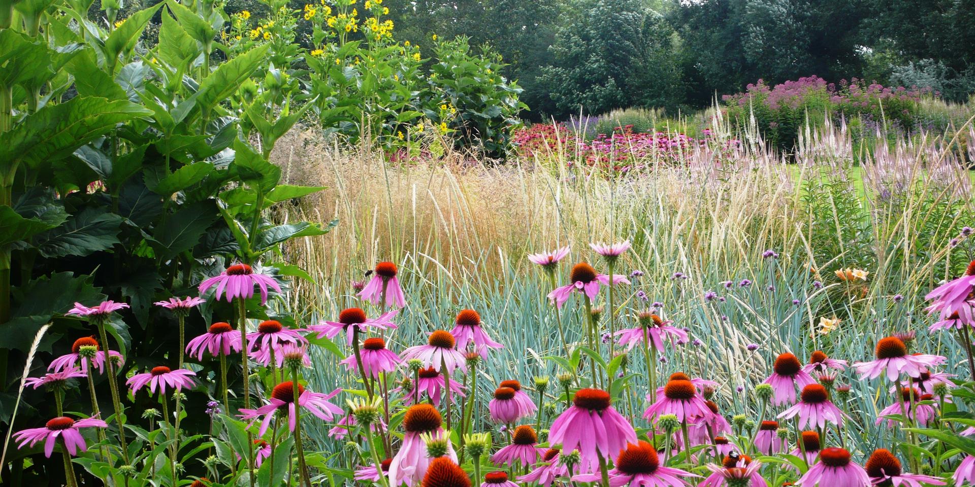Les Jardins du Temps - Illzach