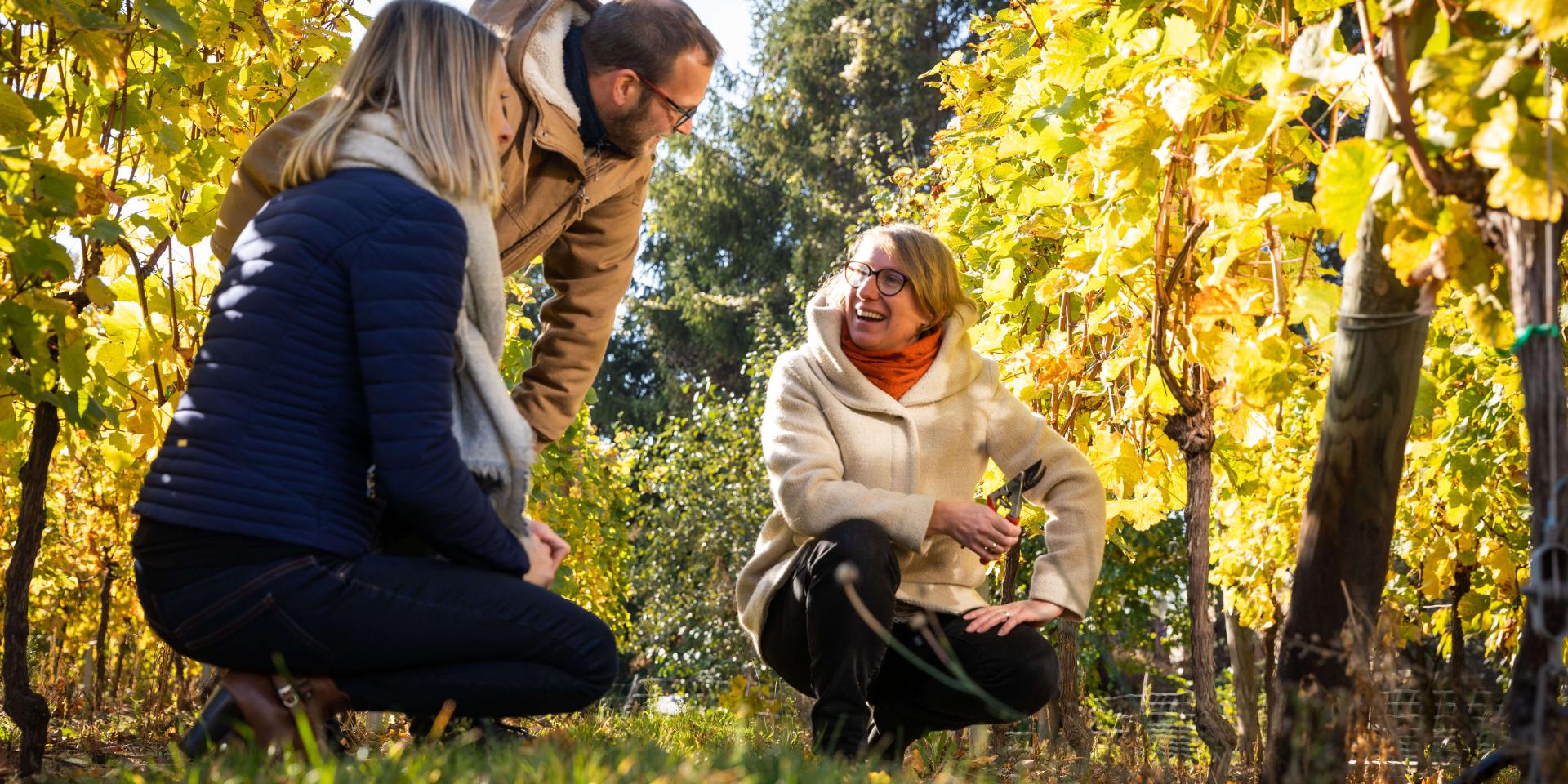 Domaine Meyer-Krumb