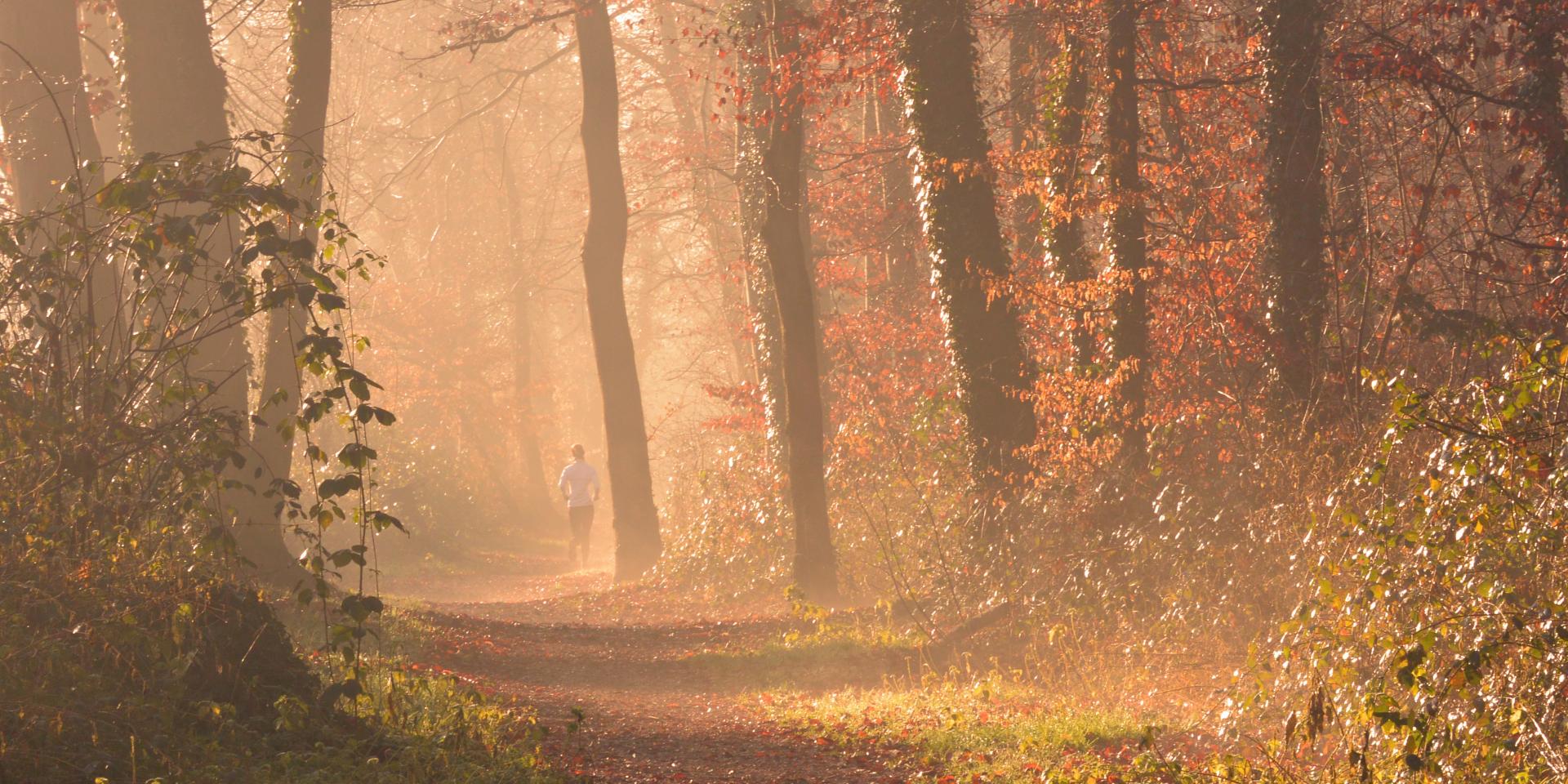 Joggen in und um Mulhouse Elsass
