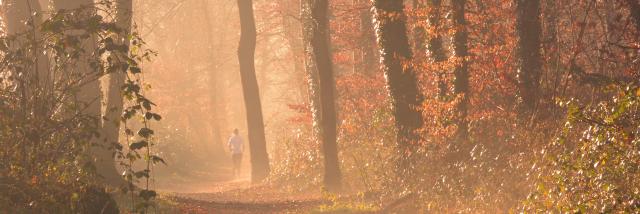 Running in and around Mulhouse Alsace