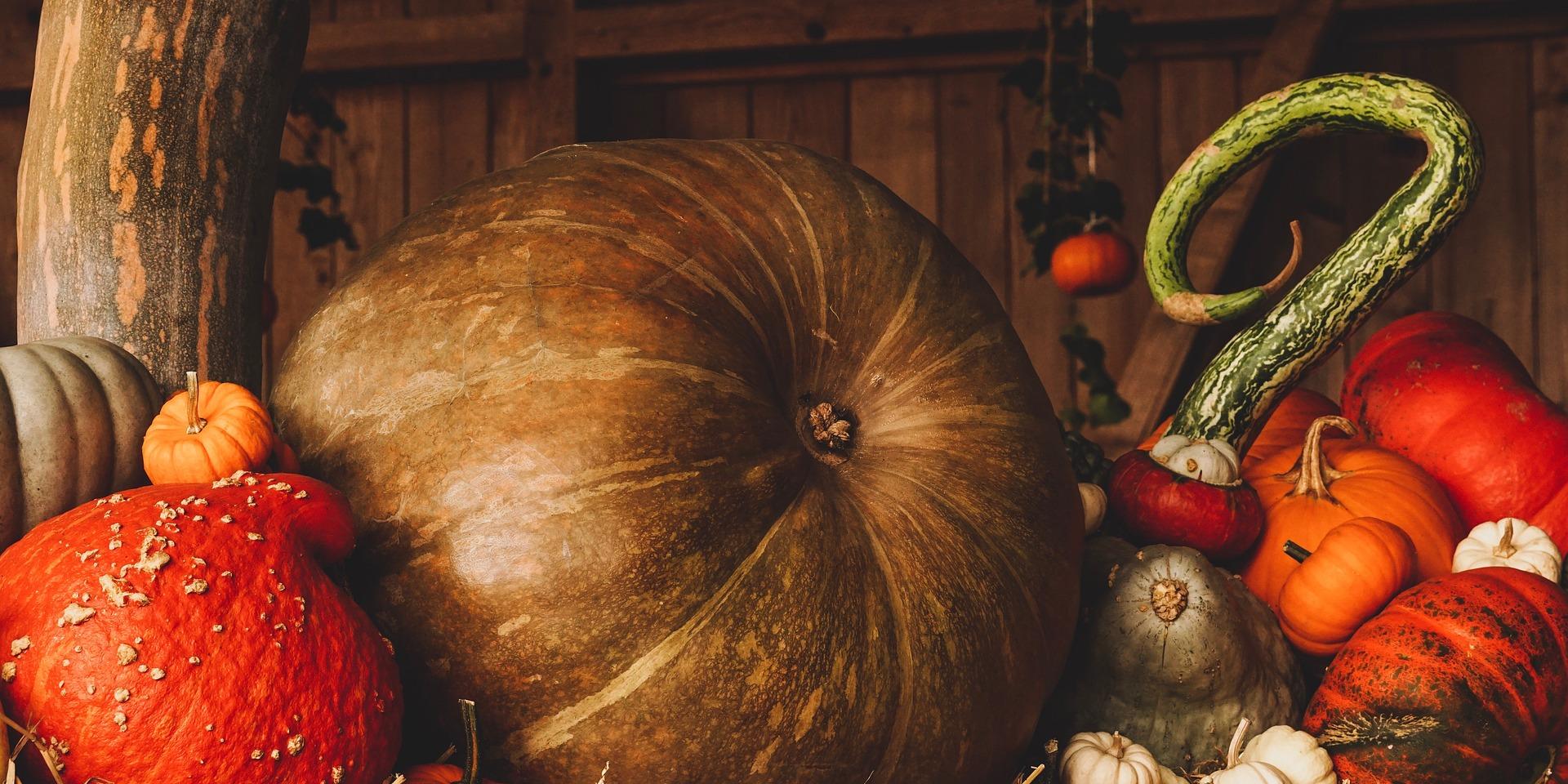 Pumpkin 3698130 1920