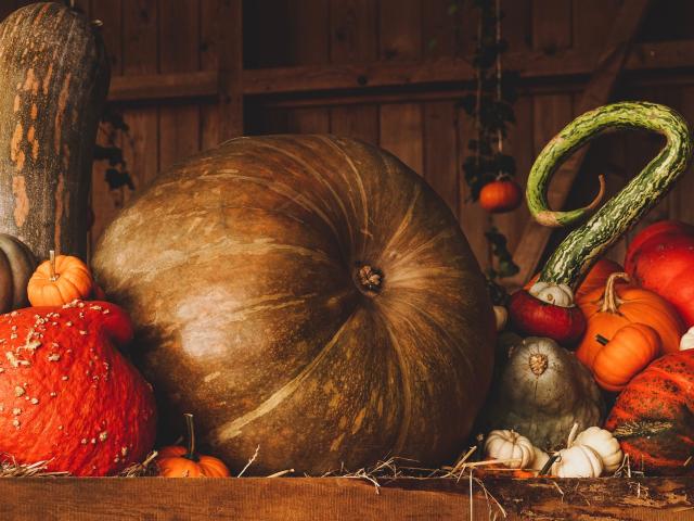 Photo automne
