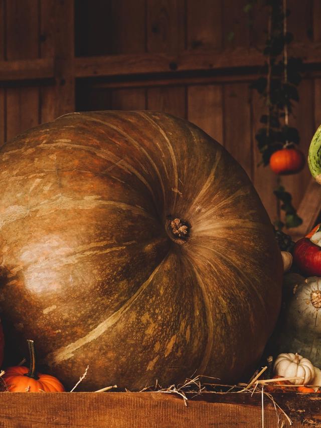 Pumpkin 3698130 1920