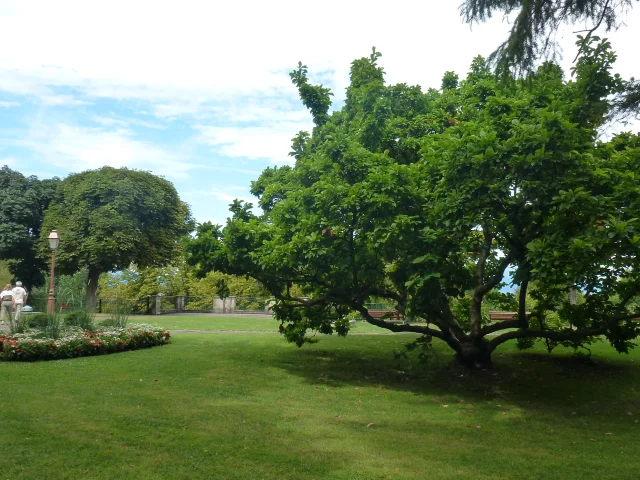 Parc du Réservoir | Mulhouse Alsace