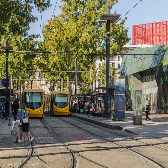 Deux trams jaunes à l'arrêt à la station Porte Jeune à Mulhouse.