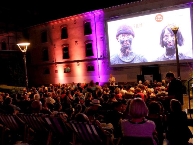 Festival International Du Film2