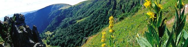 Massif des Vosges