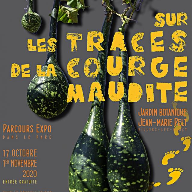 Sur Les Traces De La Courge Maudite