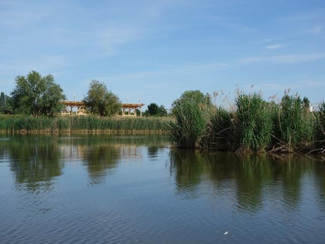 Plage 2 Rives Observatoire