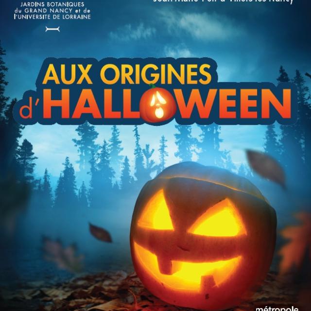 Affiche Aux Origines D Halloween 2021