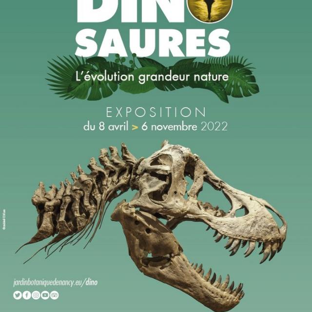 Csm Affiche Expo Dino Evolution 81b0e7e54e
