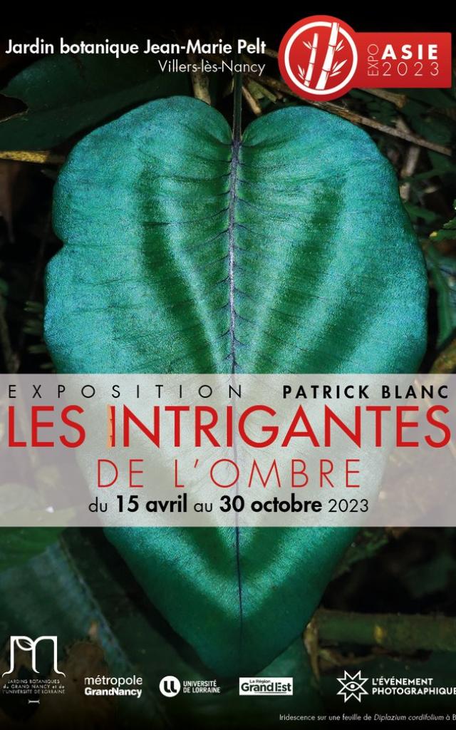 csm_Affiche_Patrick_Blanc_62f7755ea2.jpg