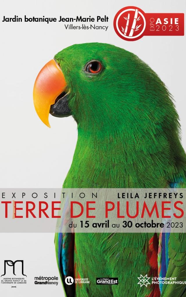 csm_Terre_de_plumes__1__c612658123.jpg