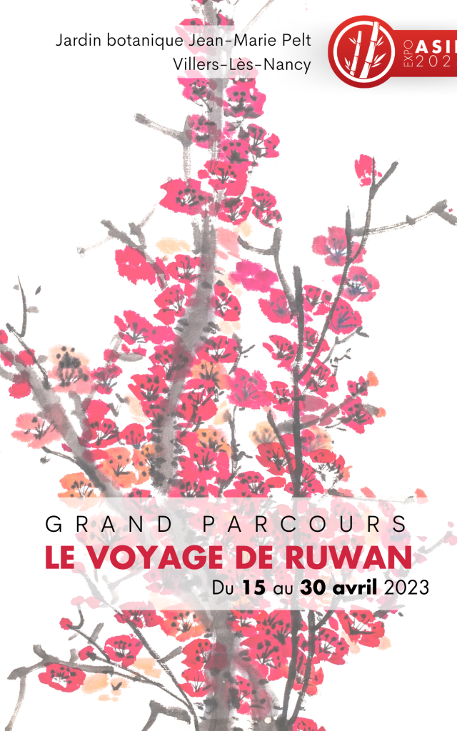 Affiche animation Voyage De Ruwan