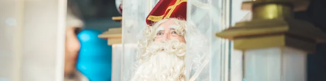 Defile Saint Nicolas 2024 Pierre Defontaine Artge 151