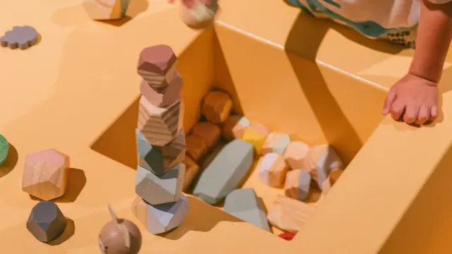 Museum Aquarium De Nancy Quentin Lafon 1